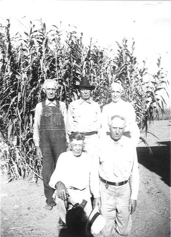 williamsons.jpg - 57877 Bytes