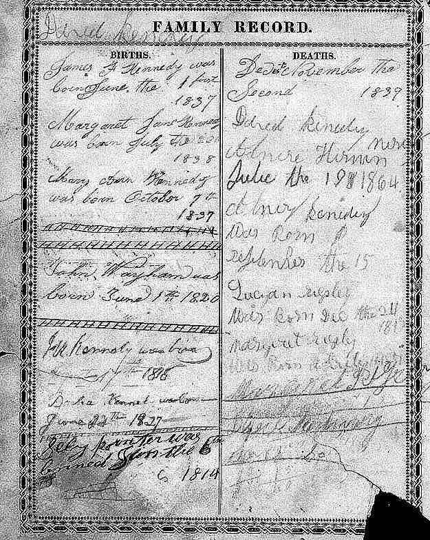 kwill3.jpg - 122967 Bytes