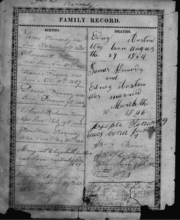 kwill4.jpg - 61304 Bytes