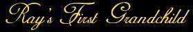first_grandchild.jpg - 6196 Bytes